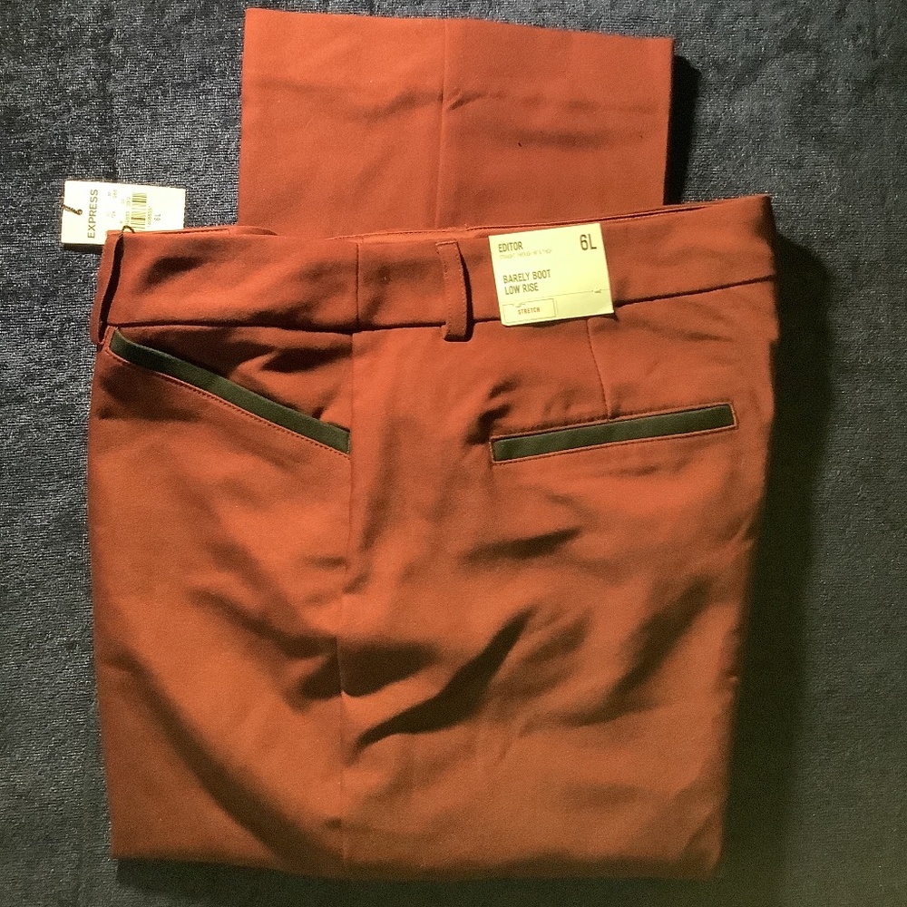 Express dress pants